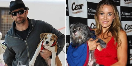Viețile de câine celebritate și animalele lor preferate