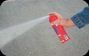 Lista și evaluarea sprayurilor din gandaci cu instrucțiuni