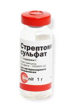 Streptomycin sulfat veterinar, omedvet