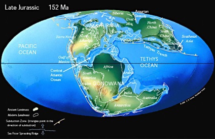 A existat un continent de istorie a gondwanei, kerkinitida evpatoria din cele mai vechi timpuri, până în zilele noastre