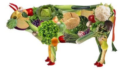 Esența vegetarianismului, beneficiile vegetarianismului, răul vegetarianismului pentru organism, sfatul pentru vegetarieni
