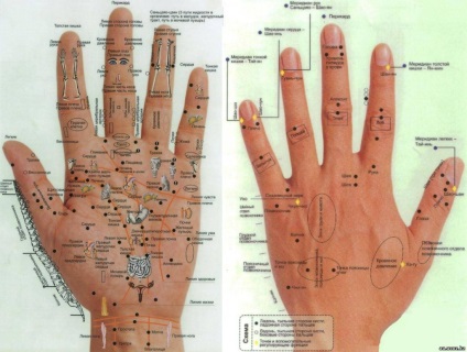 Punctele de acupunctura (acupunctura) pe mâinile acupuncturii foto a mâinilor în clinica 