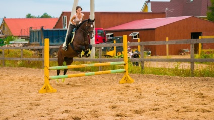 Trakehner fajta lovak leírása és leírása fényképekkel