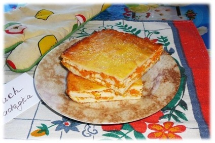 Casă cu brânză de tip cascadă cu morcovi rețetă detaliată cu fotografii