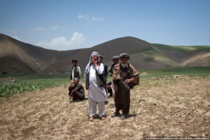 Distrugerea câmpurilor de mac din Afganistan (45 fotografii) - Trinikisi