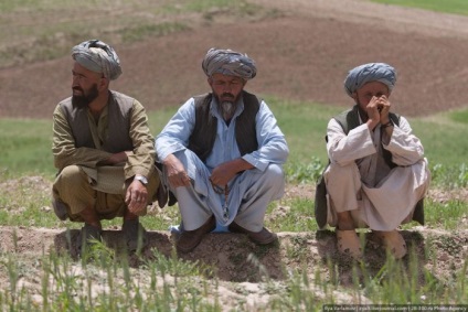 Distrugerea câmpurilor de mac din Afganistan (45 fotografii) - Trinikisi