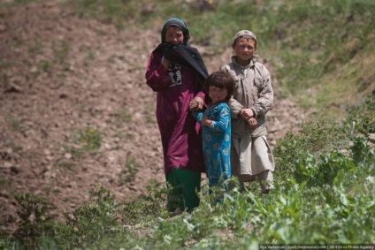 Distrugerea câmpurilor de mac din Afganistan (45 fotografii) - Trinikisi