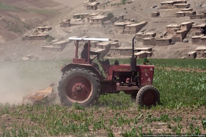 Distrugerea câmpurilor de mac din Afganistan (45 fotografii) - Trinikisi