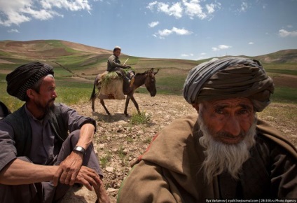 Distrugerea câmpurilor de mac din Afganistan (45 fotografii) - Trinikisi