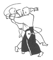 Lecții de aikido