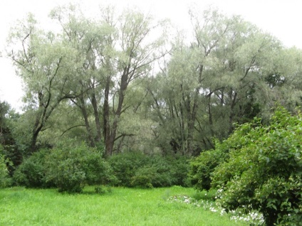 Boldino Estate în satul Boldino (Boldino, Rusia) - fotografii de pe planeta pământ