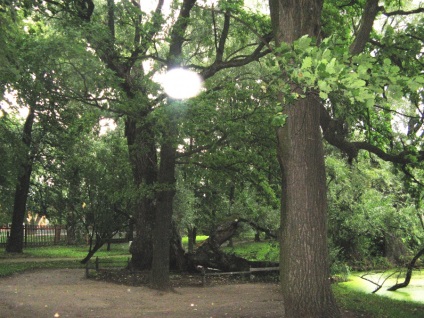 Boldino Estate în satul Boldino (Boldino, Rusia) - fotografii de pe planeta pământ