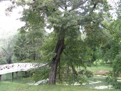 Boldino Estate în satul Boldino (Boldino, Rusia) - fotografii de pe planeta pământ