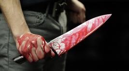 A fehér yar hamarosan eltűnik Rosestrest (rosreestr) A fehér farkán hamarosan eltűnik a rosereestr