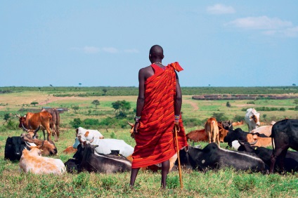 Credincioși Maasai poligamici, publicații, din întreaga lume