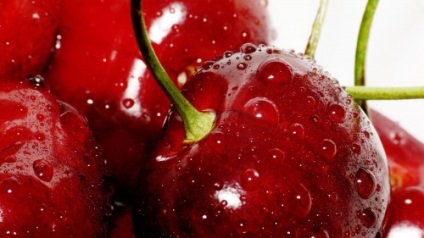 Cherry în grădină, caracteristicile cultivării și îngrijirii