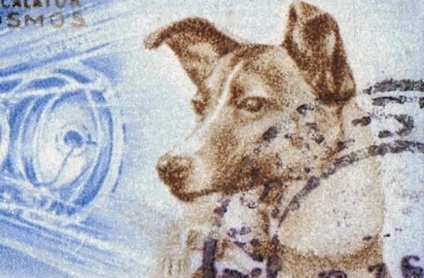 10 Fapte despre Laika, primul câine în spațiu - știri și fapte