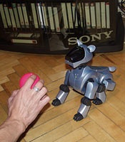 Aibo »jucării roboți