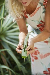 Aloe in cosmetice, masti acasa cu aloe pentru diferite tipuri de piele - suflet jurnal