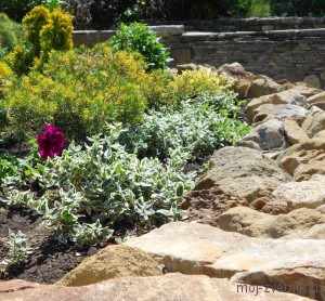 Dealul alpin, sau grădina de rock, grădina mea de flori!