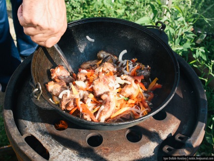 Alternativă la kebabs shish gătit la miza - știri în fotografii