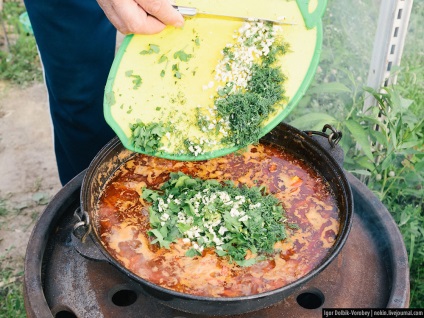 Alternativă la kebabs shish gătit la miza - știri în fotografii