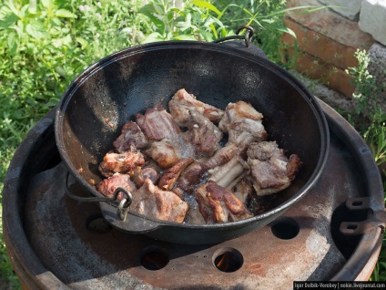 Alternativă la kebabs shish gătit la miza - știri în fotografii