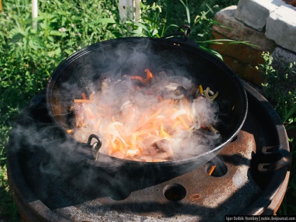 Alternativă la kebabs shish gătit la miza - știri în fotografii