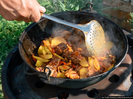 Alternativă la kebabs shish gătit la miza - știri în fotografii