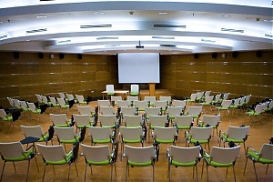 Închirierea unei săli de conferințe pentru evenimente de afaceri în Ekaterinburg - închirierea unei camere în Ekaterinburg, închiriere