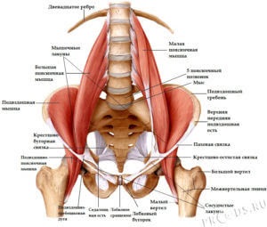 Herniile femurale la bărbați simptome, diagnostic, tratament