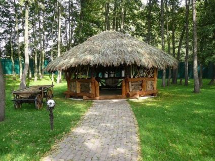 Gazebo cu grătar cu fotografii proprii, afaceri ușoare