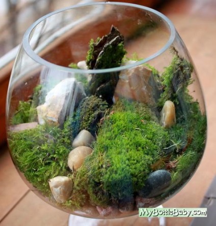 Grădină într-o sticlă de mușchi