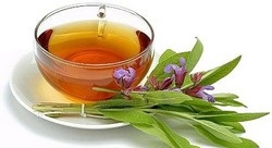 Ceaiul din salvie lasă trei rețete, proprietăți și beneficii