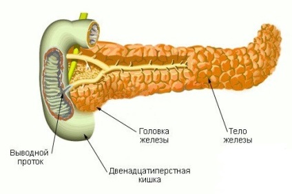 Usturoi în contraindicații la pancreatită la consumul de legume în alimente