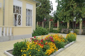 Bacăov, Dacha, Sochi