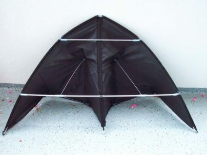 Delta zmeu cu mâinile tale, făcută dintr-o umbrelă