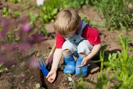 Munca copiilor este beneficiul grădinăritului