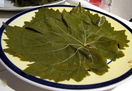 Dolma din frunzele de struguri murate - rețetă pas cu pas cu fotografie