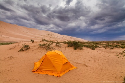 Ploaie în deșert, știință și viață