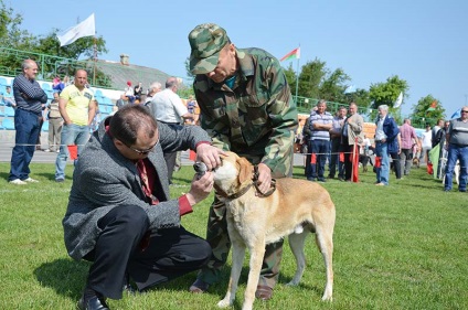 Dragičynski de primăvară, expoziția regională de câini de vânătoare a avut loc la stadionul orașului