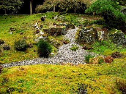 Etnică rockery