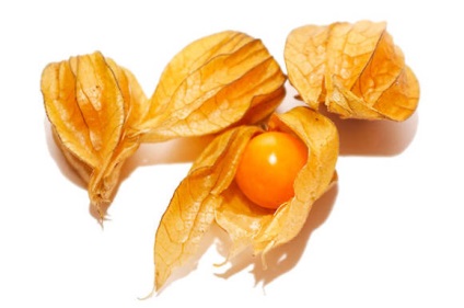 Physalis - Solanaceous kultúrák - zöldségtermesztés