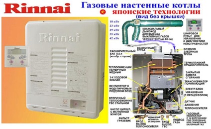 Cazanul de gaz rinnai (rinnai)