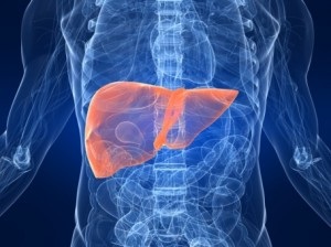 Carcinom hepatocelular (carcinom al ficatului), tratament în Israel, clinici din Israel, tratament în