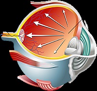 Glaucoma kezelés moszkvában - kezelési módszerek