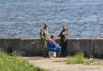 Locul principal de pescuit Ulyanovsk