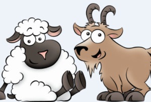 Horoscop pentru 2017 pentru capra (oaie)
