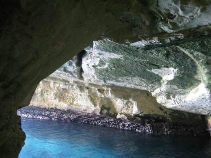 Grosh rosh-ha-nikra (roșu hanikra grote) descriere și fotografii