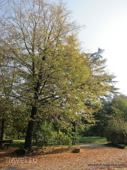 Imola - oraș și circuit